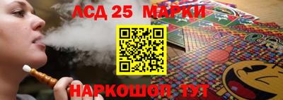 прущие грибы Кандалакша
