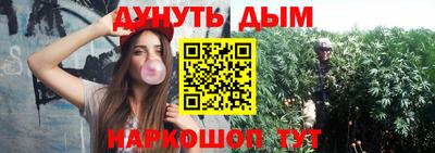 прущие грибы Кандалакша