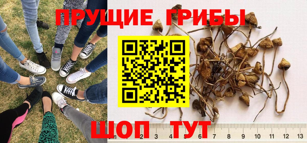 Псилоцибиновые грибы ЛСД  Псилоцибиновые грибы Magic Shrooms  Крымск  Вход с VPN 
